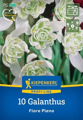 KIEPENKERL PROFI LINE Blumenzwiebel Schneeglöckchen 'Flore Pleno', 10 Stück Cover